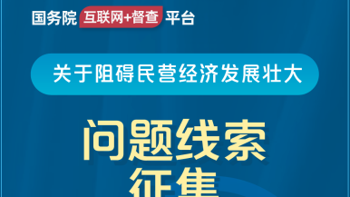 舔B插B一二区视频国务院“互联网+督查”平台公开征集阻碍民营经济发展壮大问题线索